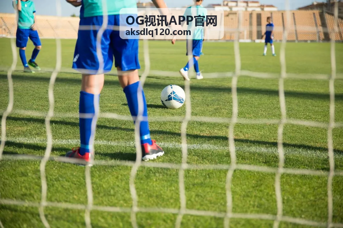 定制化APP开发